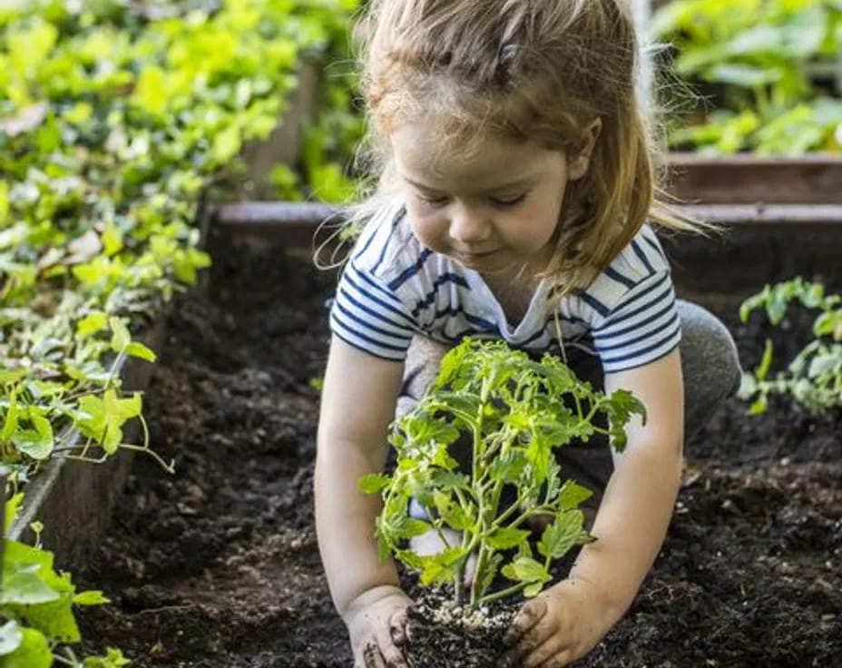 a young girl planting plants