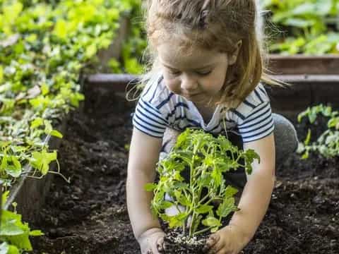 a young girl planting plants
