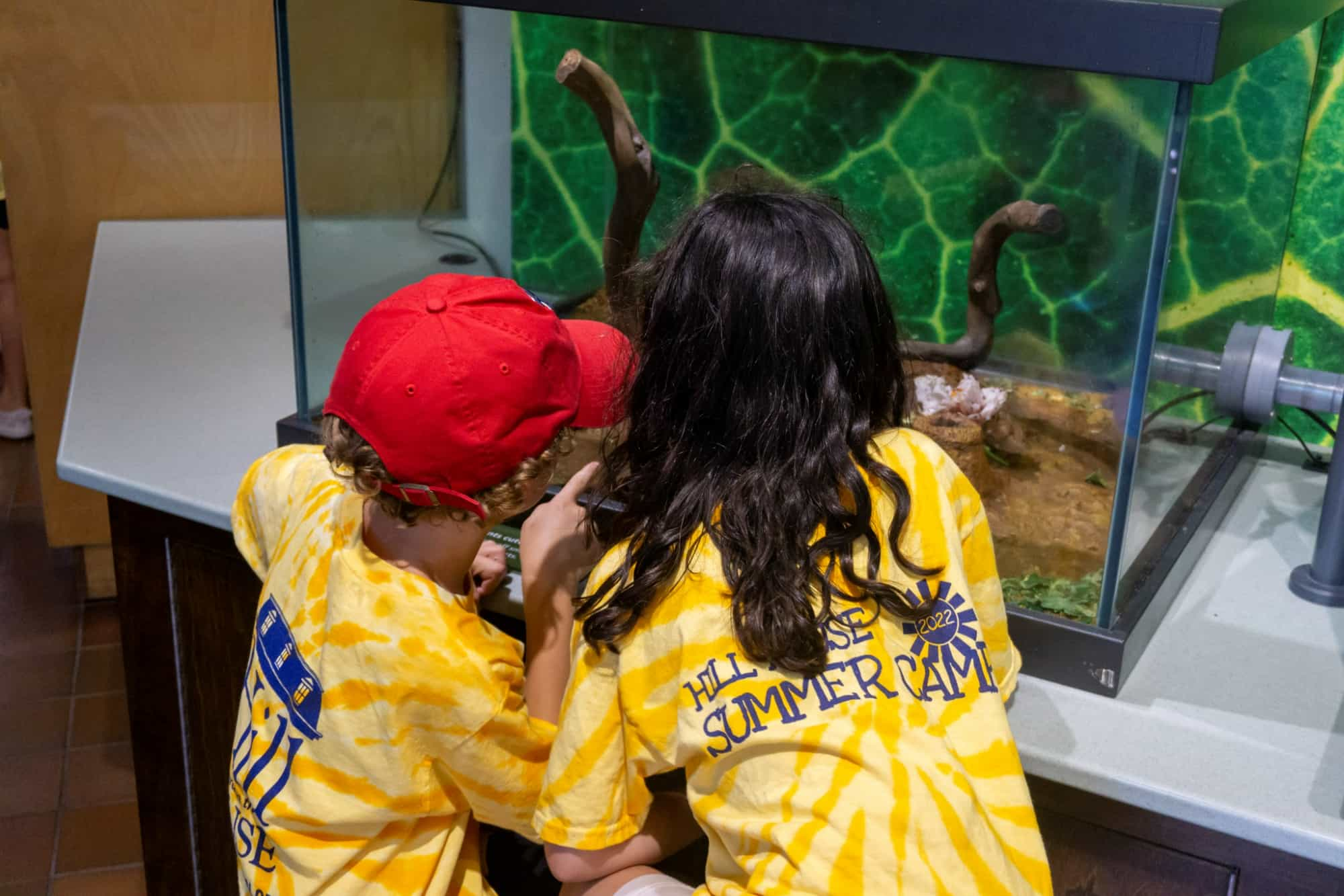 a couple of kids looking at a fish tank