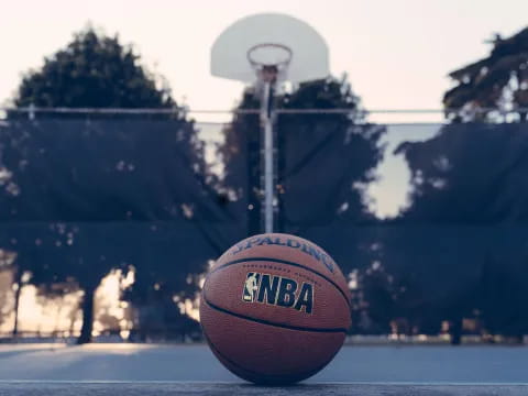 a basketball hoop with a basketball in front of a forest
