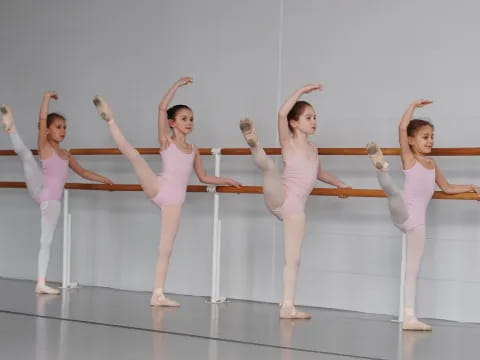 a group of women in ballet outfits