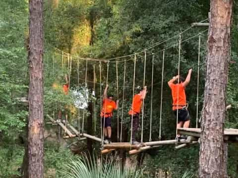 a group of people climbing a tree