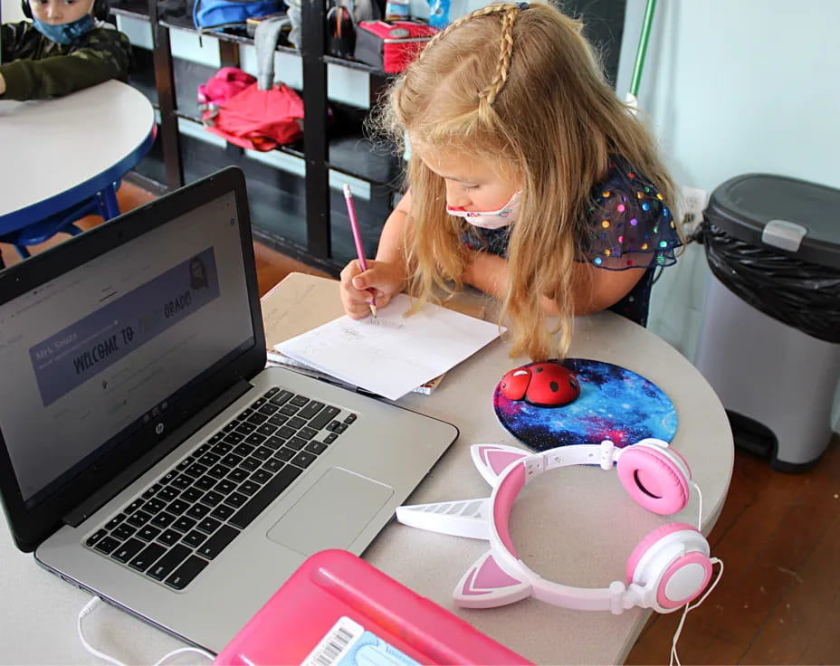 a girl with a mask and a laptop