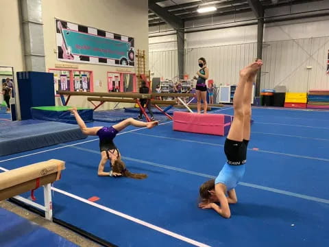 a group of women in a gym