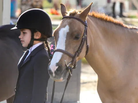 a person standing next to a horse