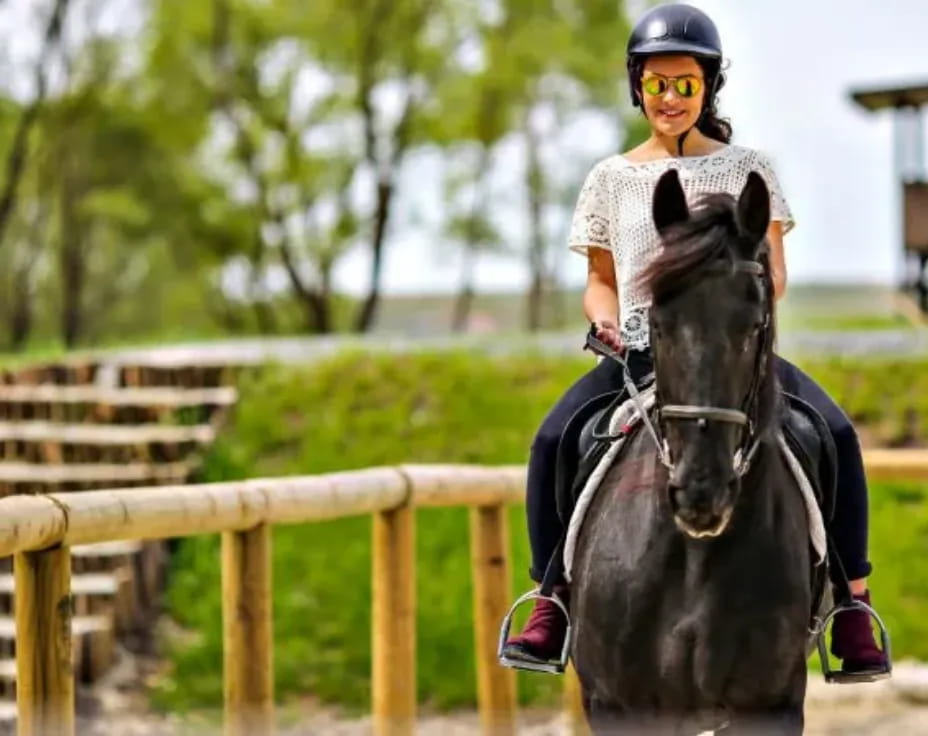 a person riding a horse