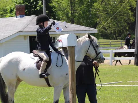 a person riding a horse