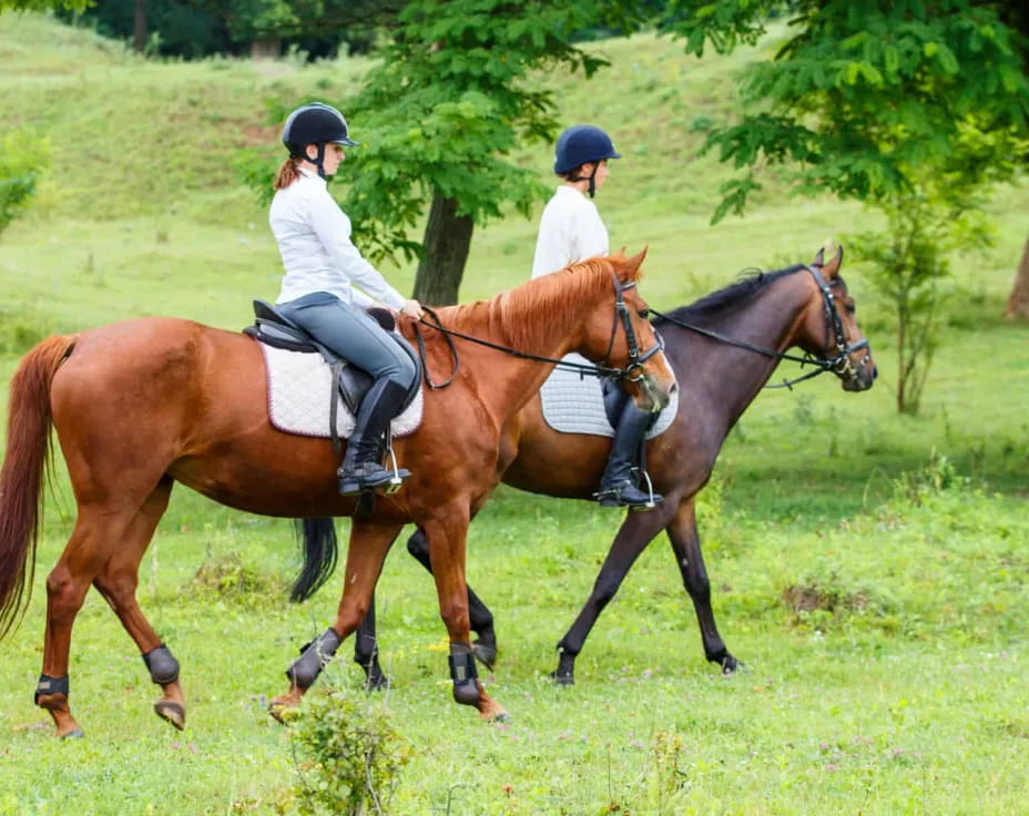 a couple of people riding horses