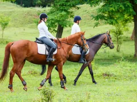 a couple of people riding horses