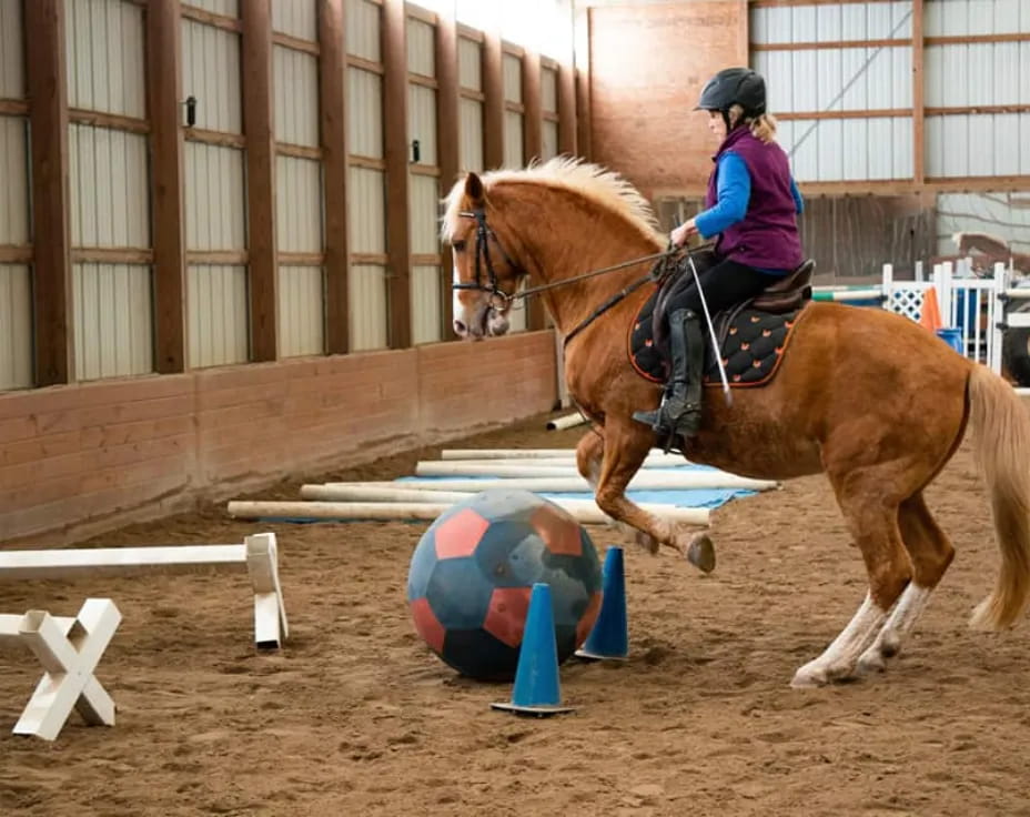 a person riding a horse