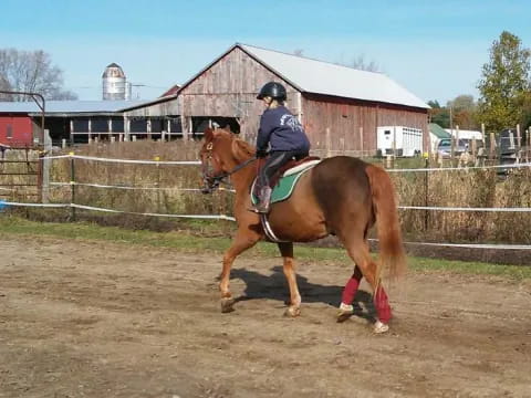 a person riding a horse