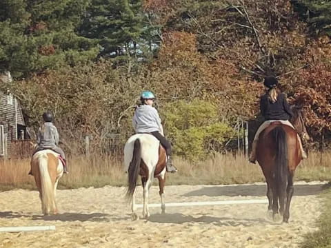 people riding horses on a dirt road