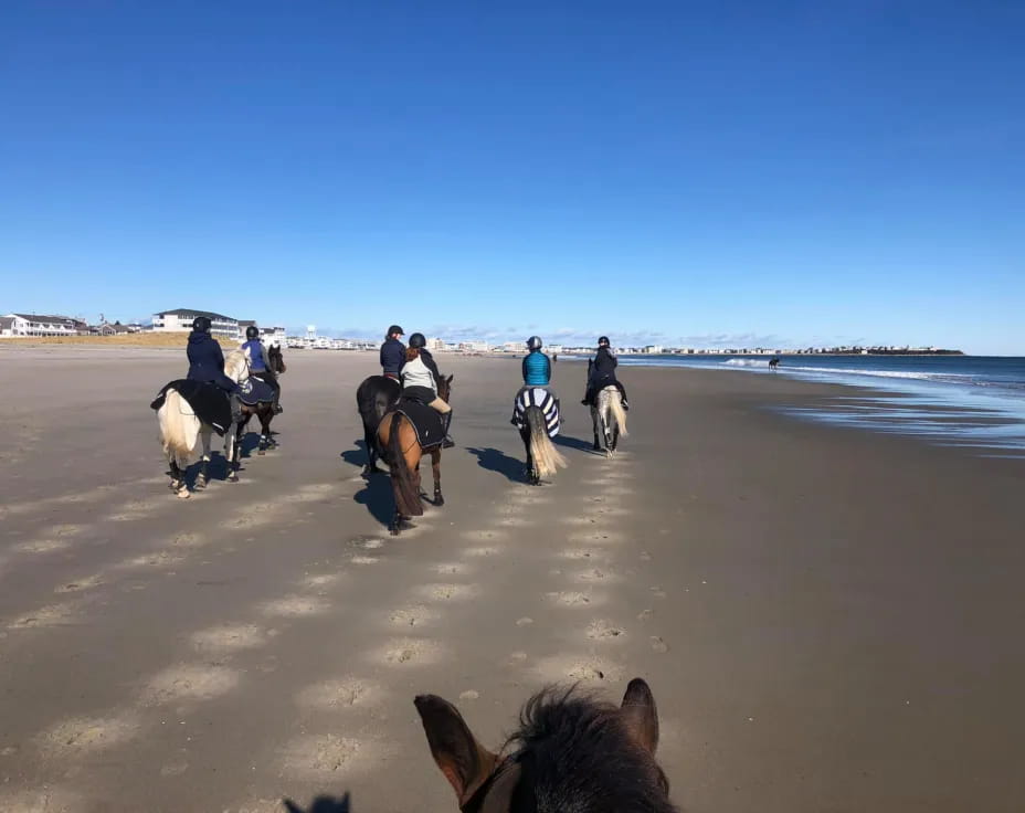 a group of people riding horses on a beach