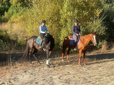 a couple of women riding horses