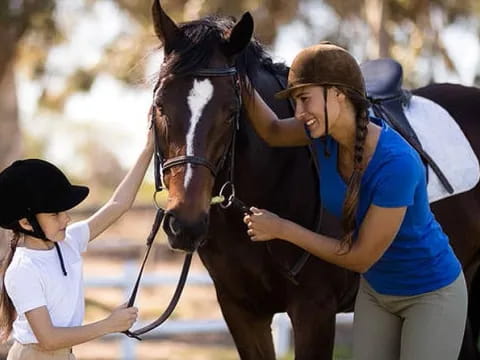 a person and a girl petting a horse