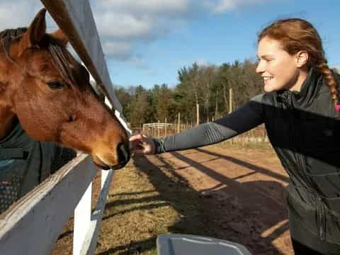 a person touching a horse