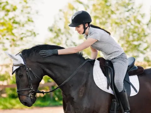 a man riding a horse