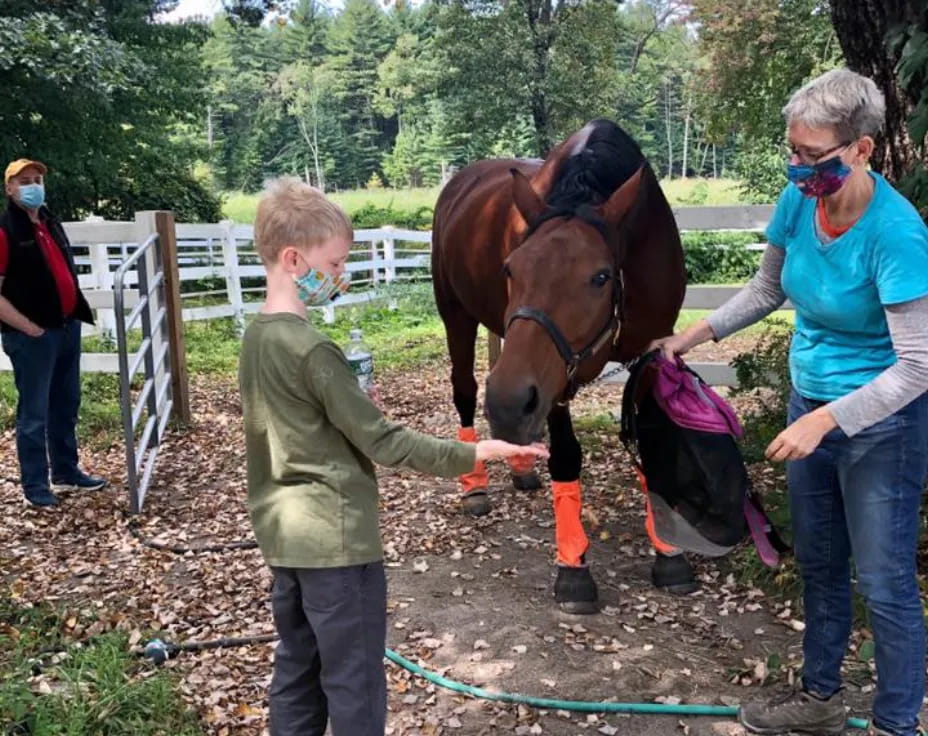 a person and a boy petting a horse