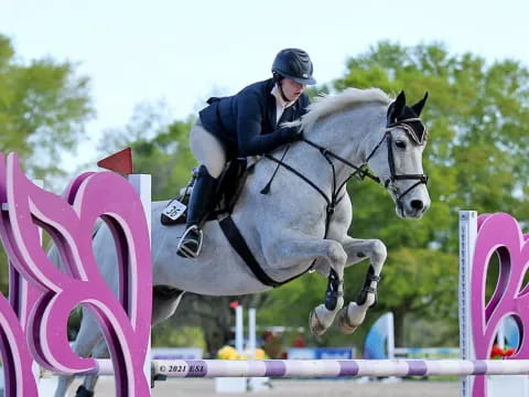 a person jumping a horse