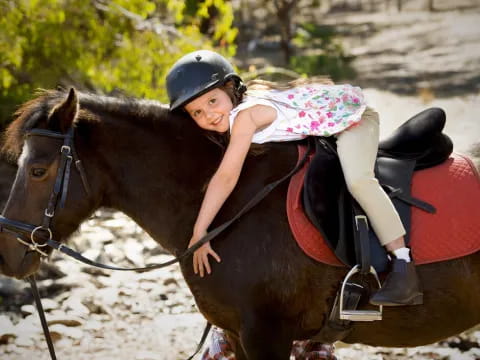 a person riding a horse