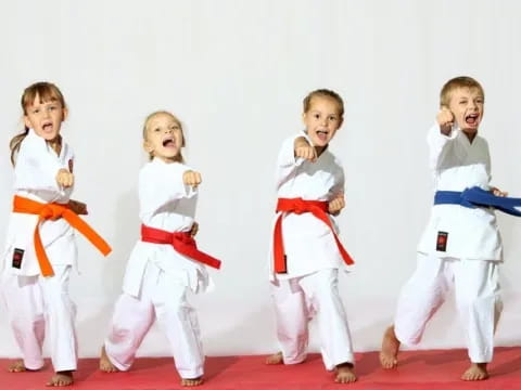 a group of children in karate uniforms
