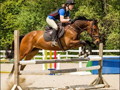 a man riding a horse