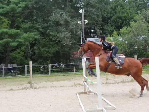 a man riding a horse