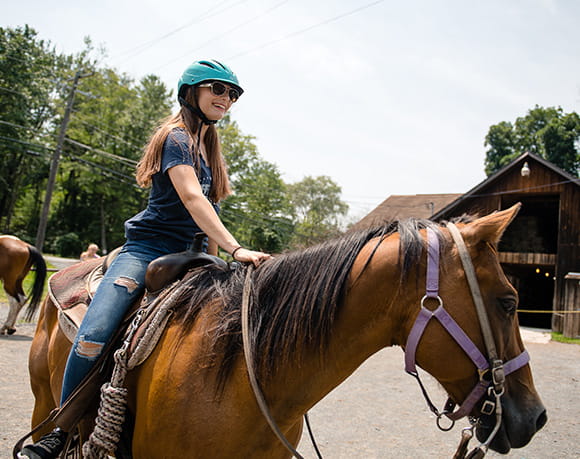 a person riding a horse