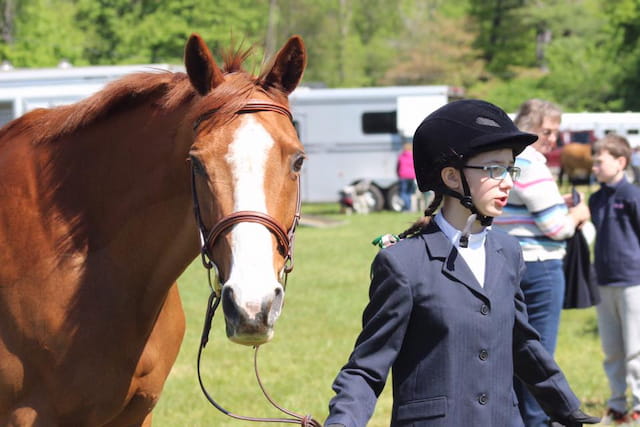 a person standing next to a horse