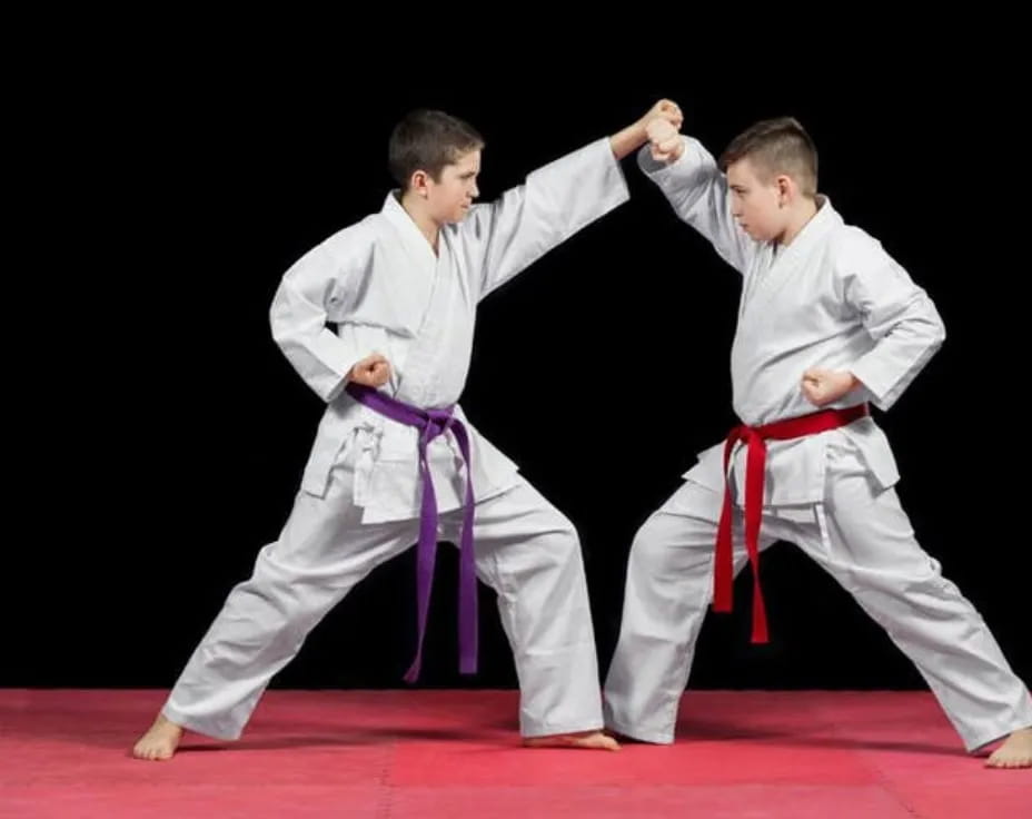 two men in karate uniforms