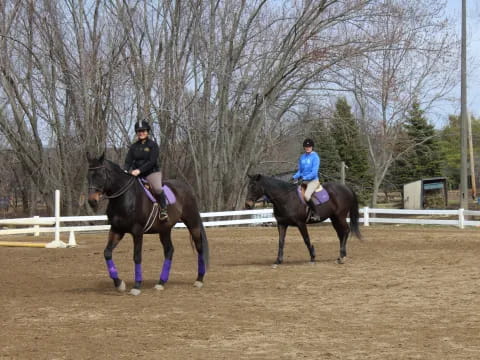 a couple of people riding horses