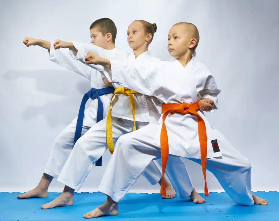 a group of children in karate uniforms