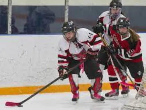 a group of hockey players on ice