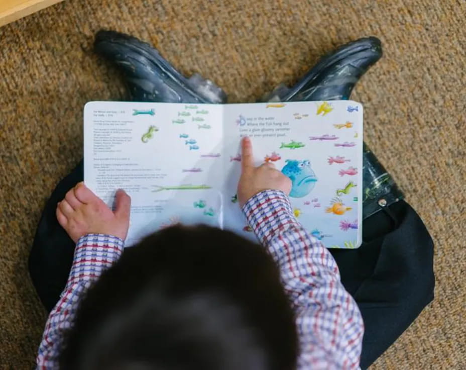 a person reading a book