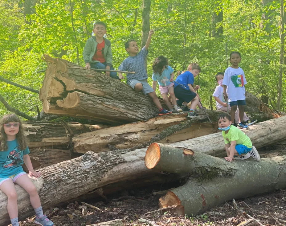 a group of kids on a log