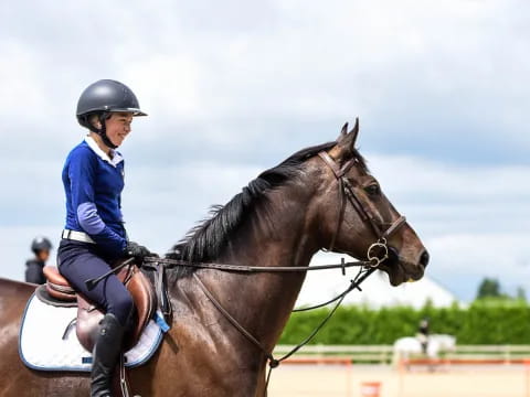 a person riding a horse