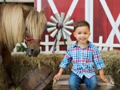 a boy sitting on a bench next to a horse and a barn
