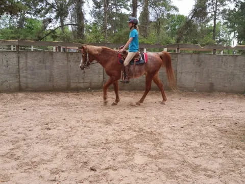 a person riding a horse