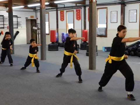 a group of boys in a gym