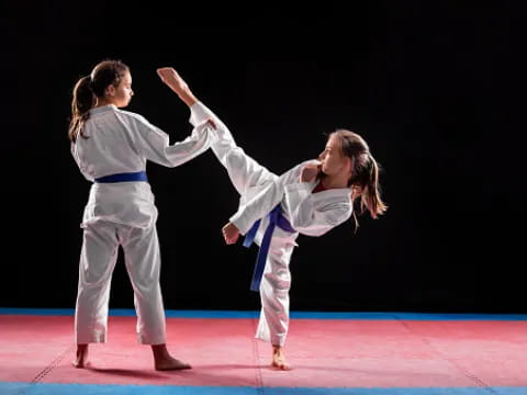 a man and a woman in karate uniforms on a stage