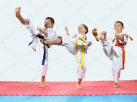 a group of people in karate uniforms