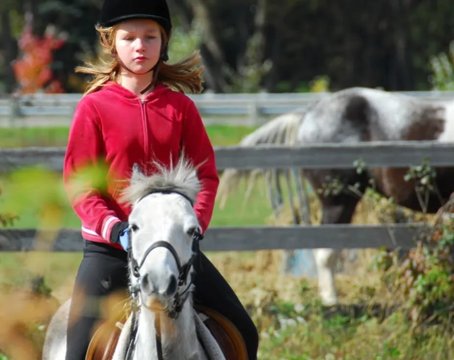 a person riding a horse