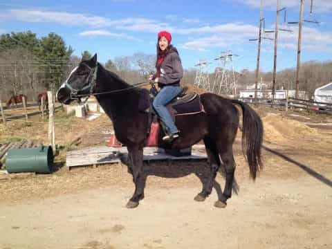 a man riding a horse