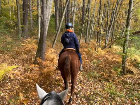 a person riding a horse through the woods