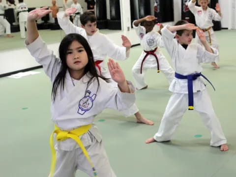 a group of people in karate uniforms