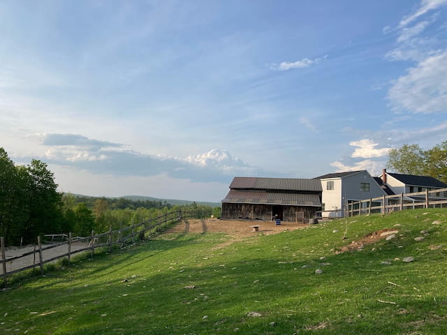 a grassy field with buildings in the background