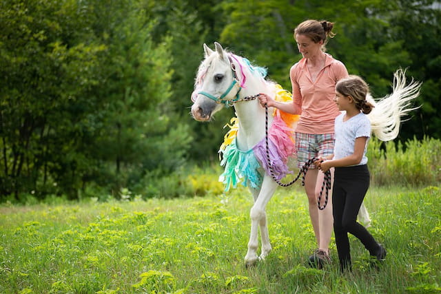a person and a girl walking a horse