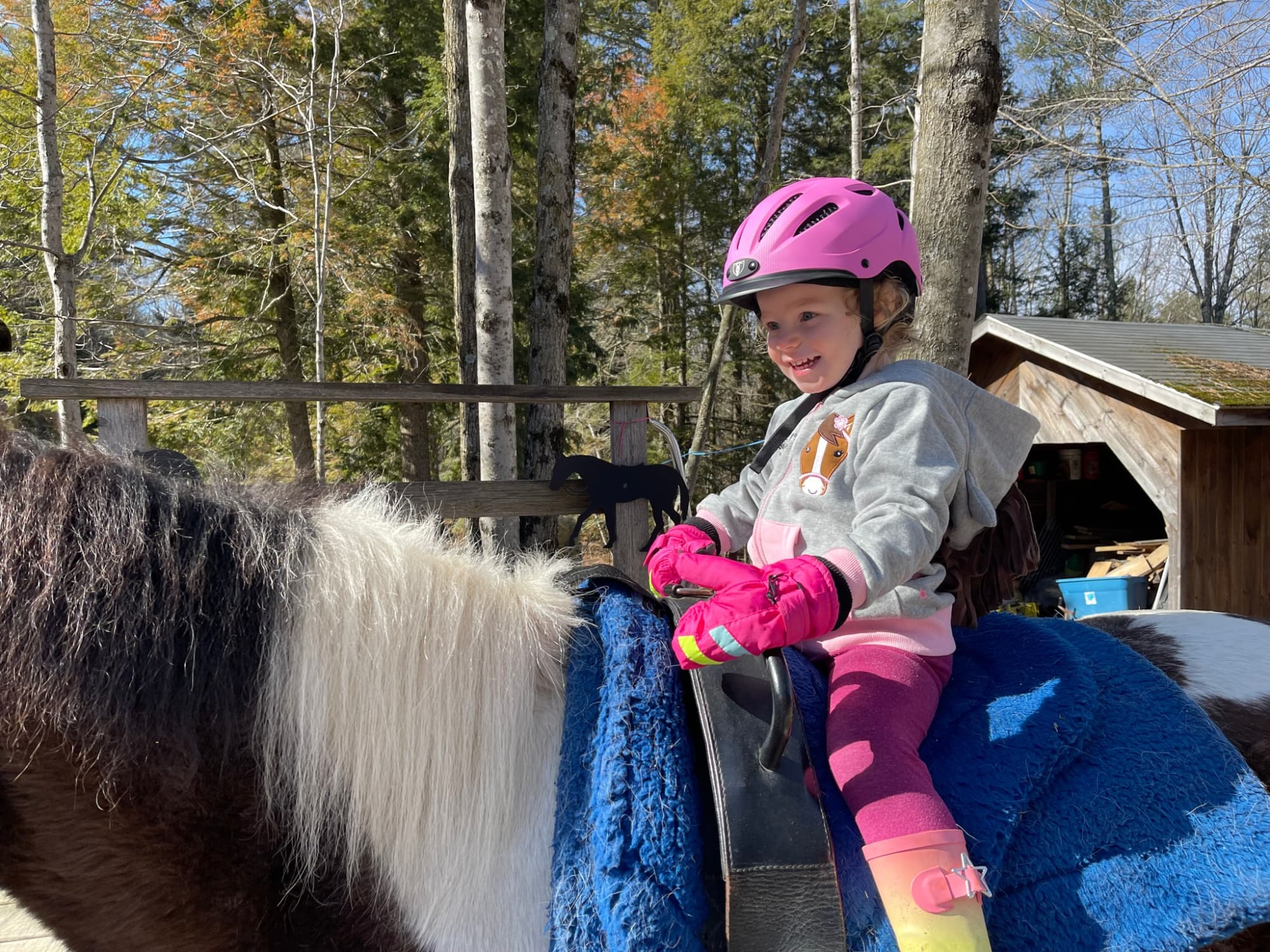 a child on a horse