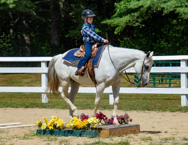 a girl riding a horse