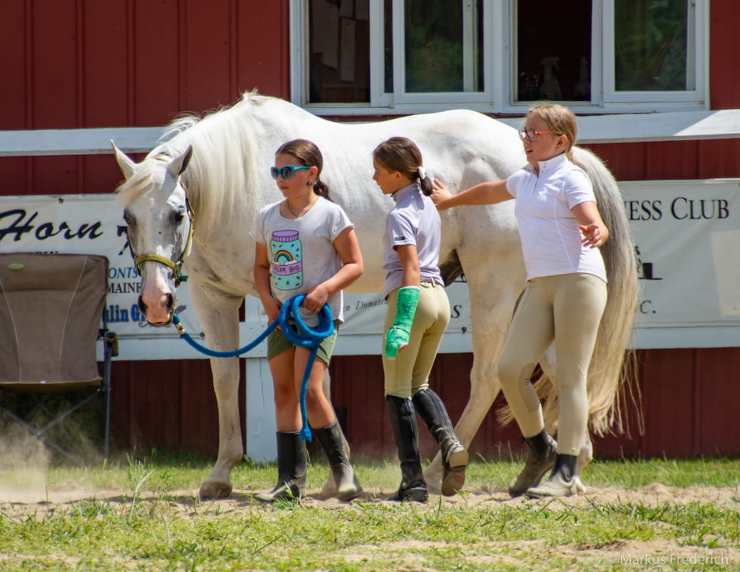 a group of people on a horse